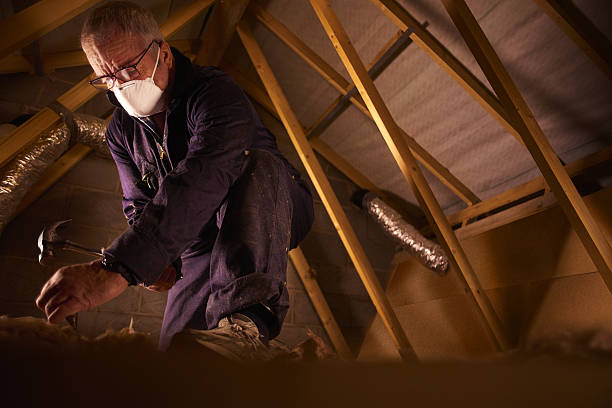 Types of Insulation We Offer in Cedar Ridge, CA