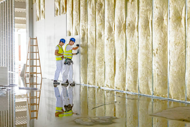 Best Insulation Maintenance and Repair in Cedar Ridge, CA